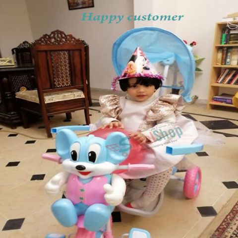 Baby Sky Blue And Pink Duck Tricycle