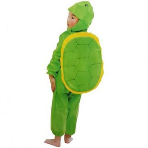 Teenage mutant Ninja Turtles Costume 